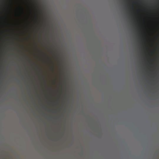 没有后悔