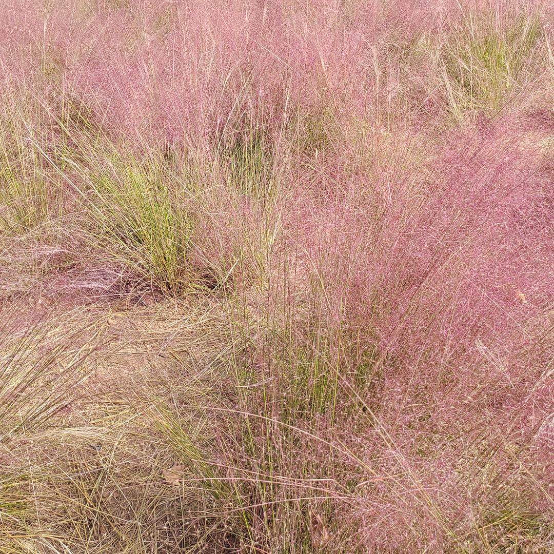四月@四月