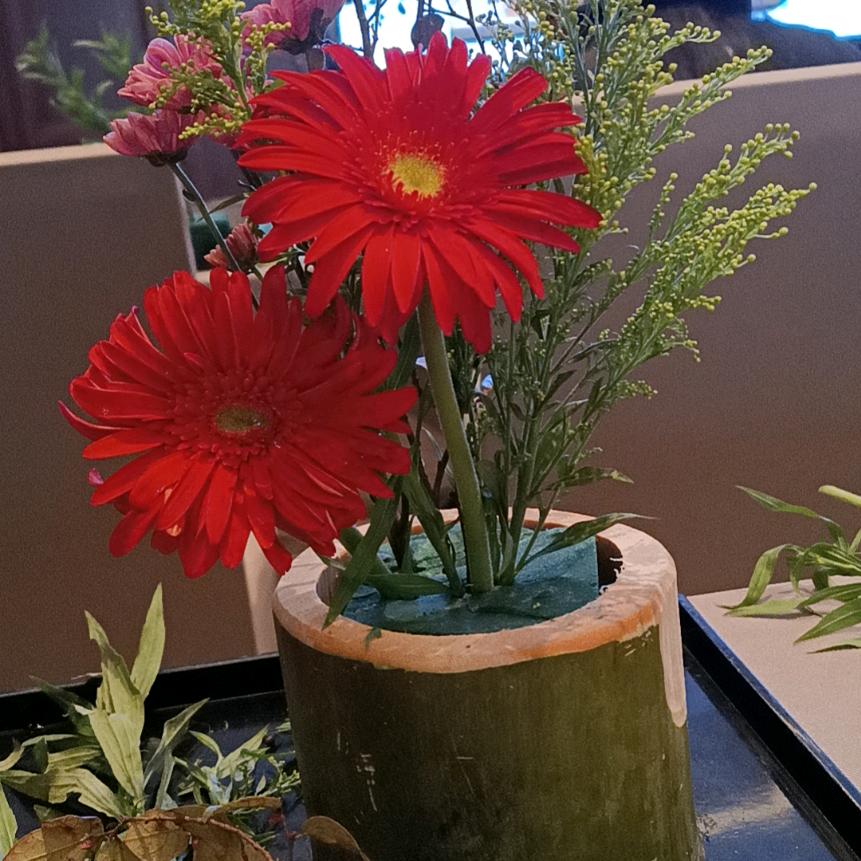 陈洁