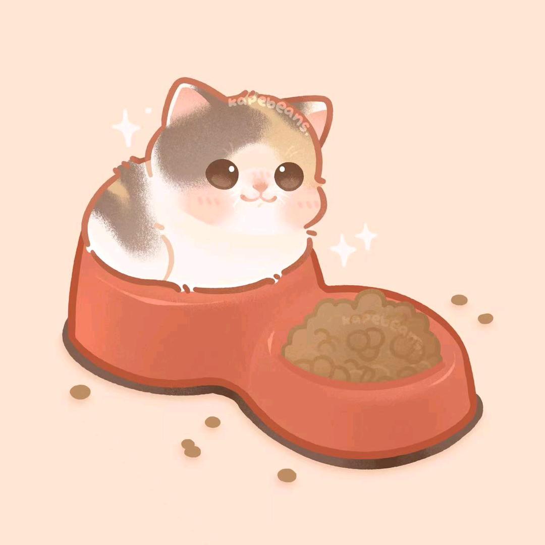 猫咪夜路