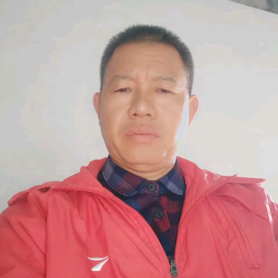 龙再军