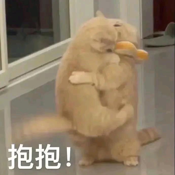 樱雪泽梦