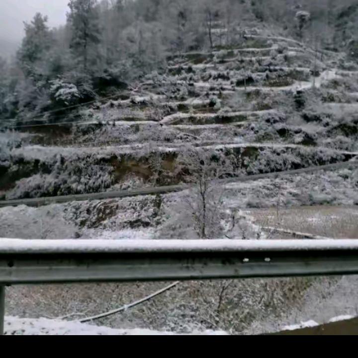 二李