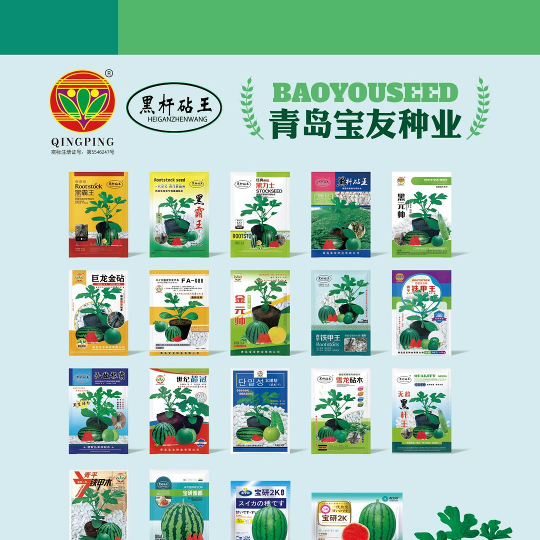 青岛宝友种业