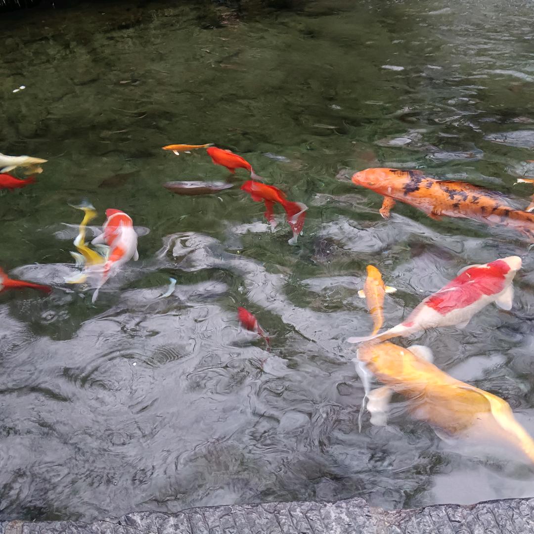 做一个傻傻的妞《拒私聊》