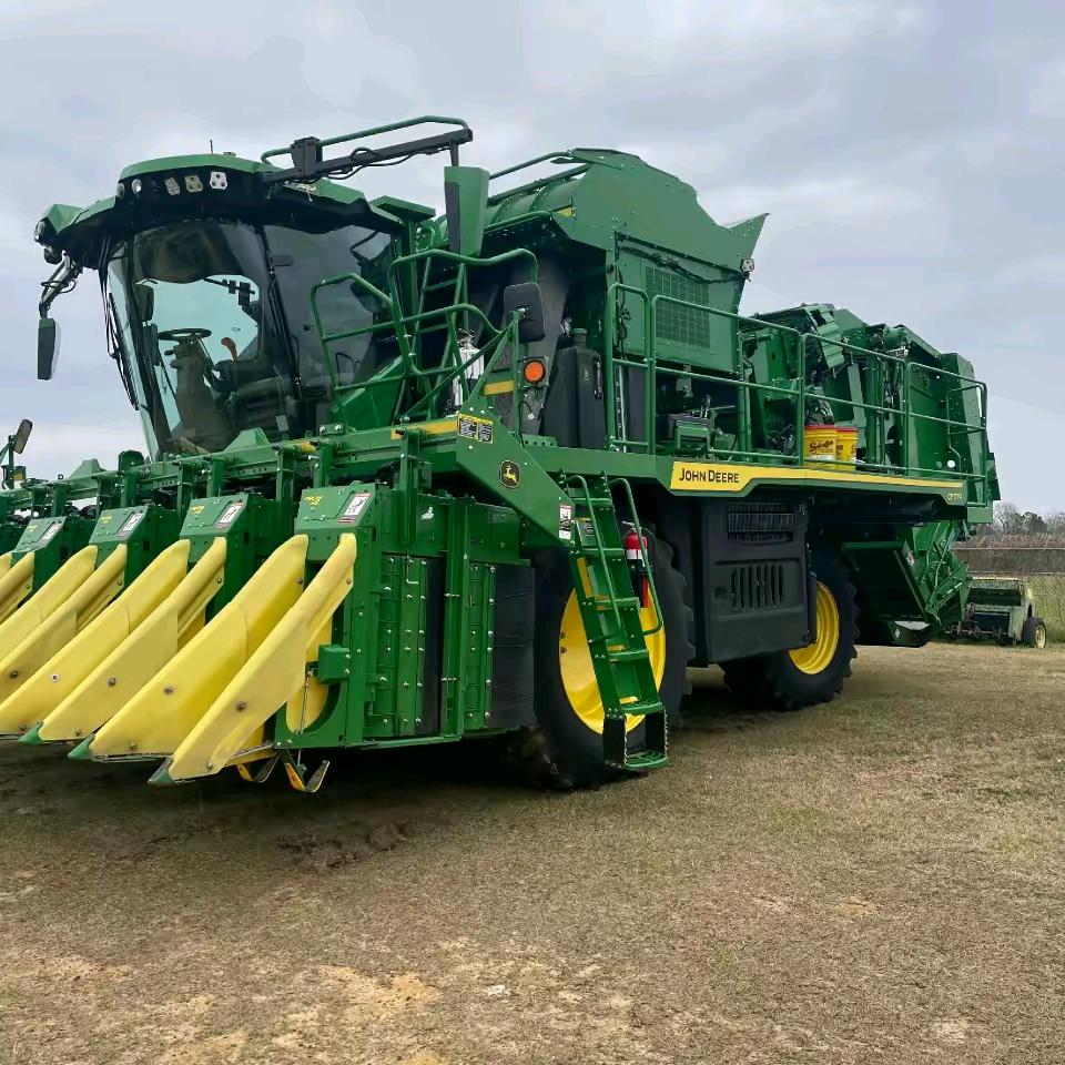 太阳当空“赵”