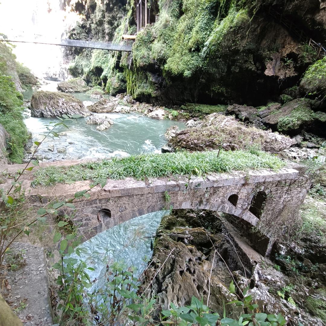 柳晨