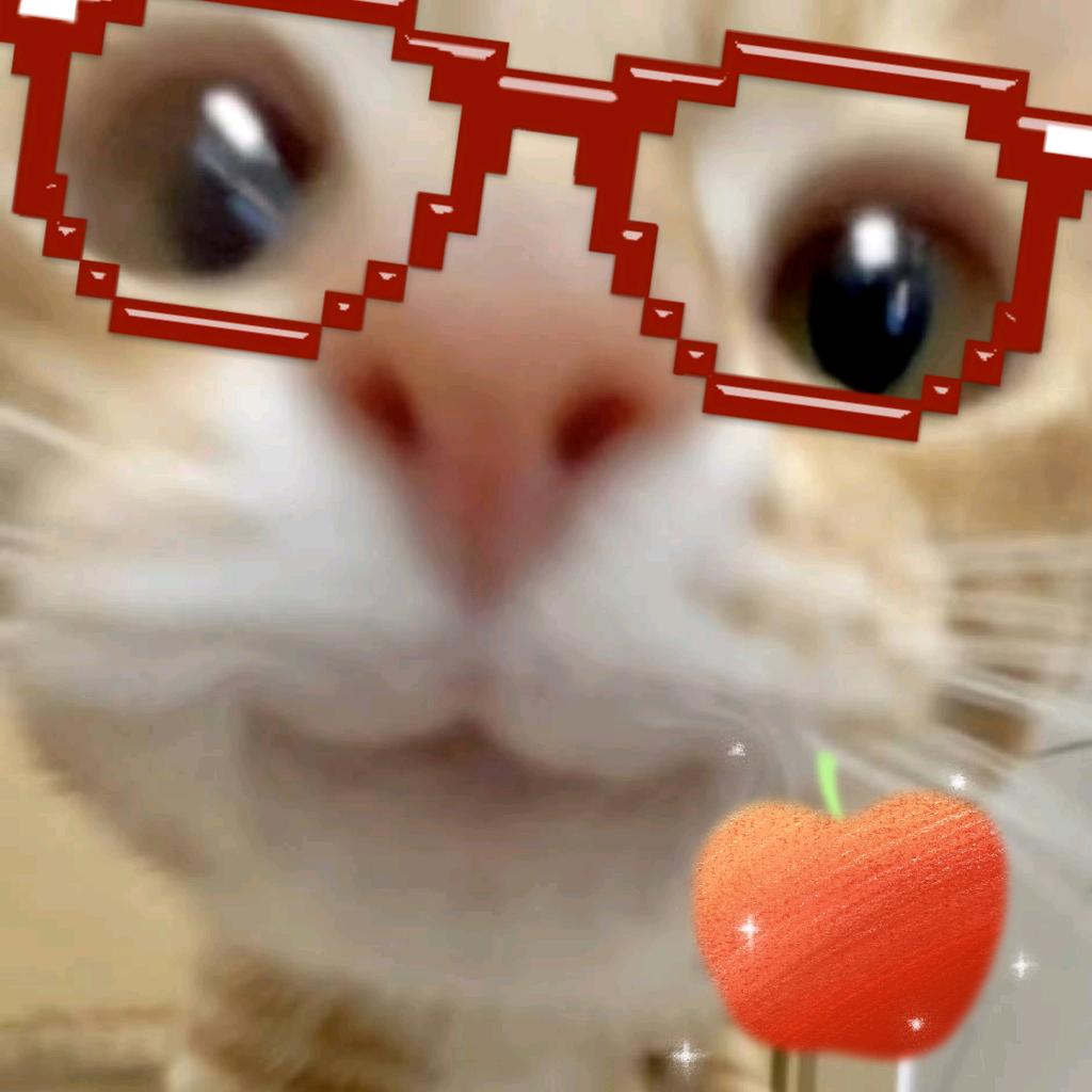 猫猫拉史好臭