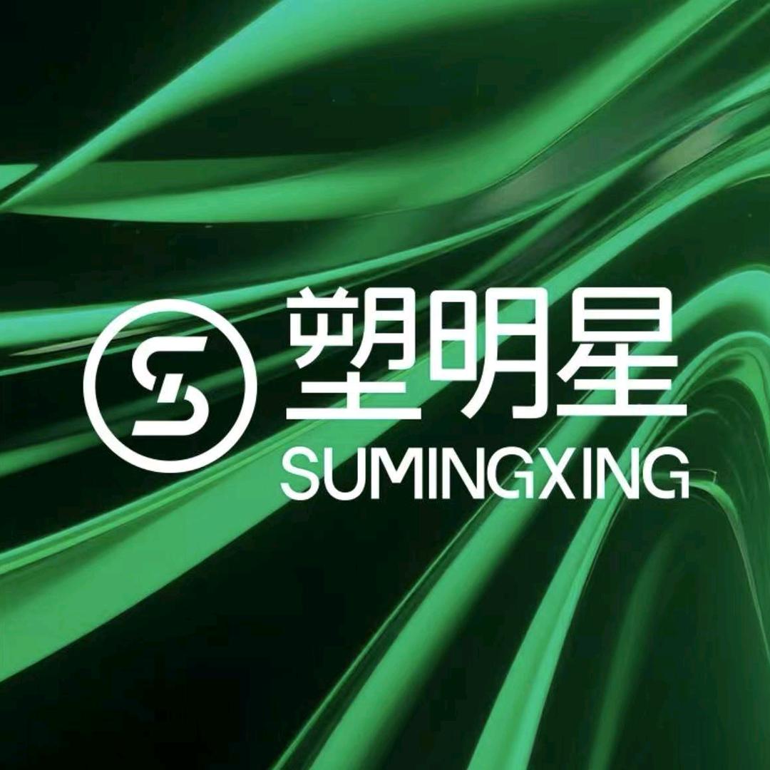 塑明星一宁姐