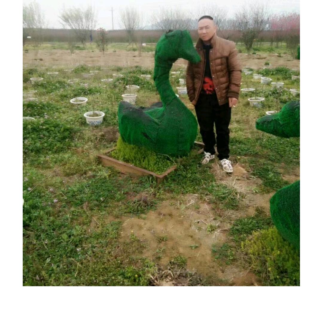 大展宏图