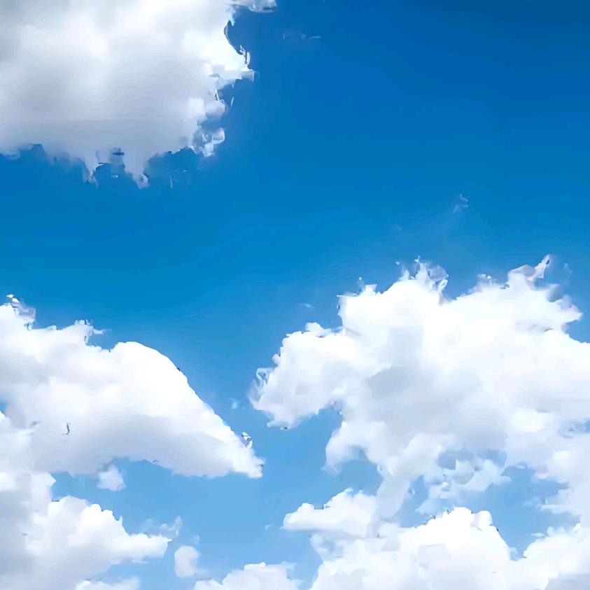 ¯_༼ •́ ͜ʖ •̀ ༽_/¯伊义忘