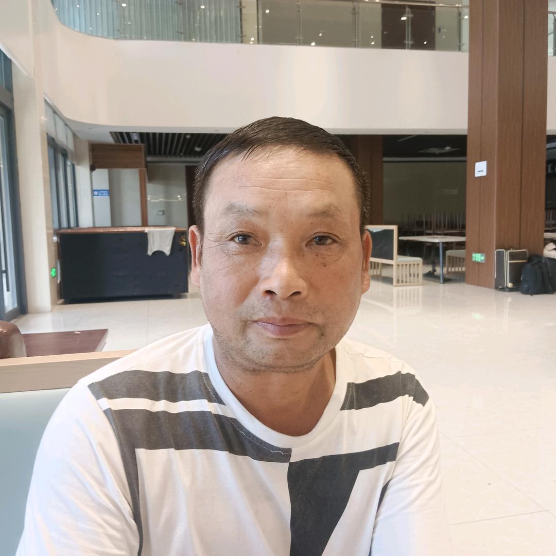 会飞的鱼