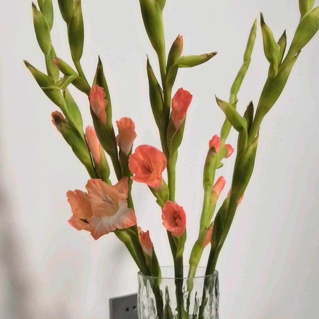 顺风顺水顺财神