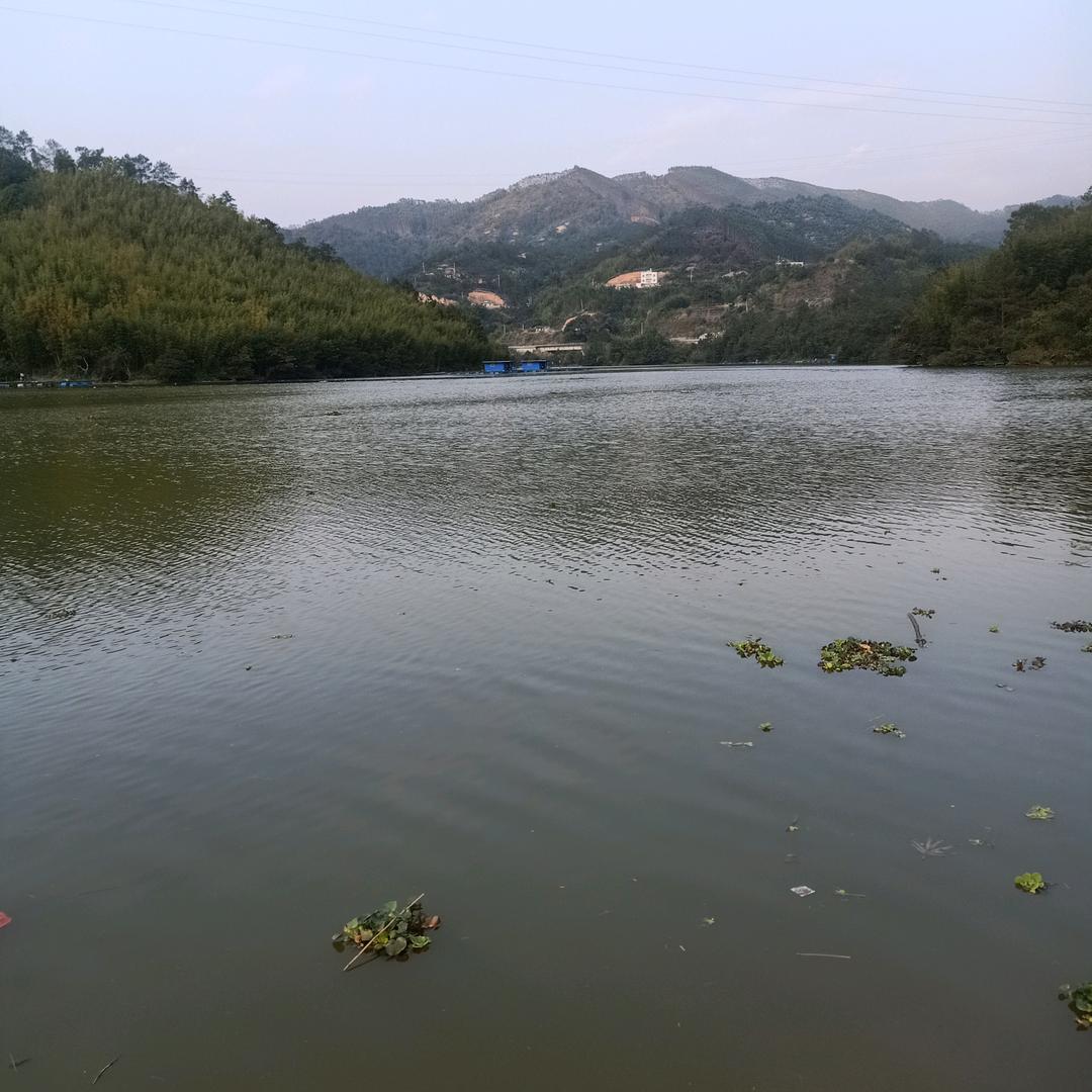 过客