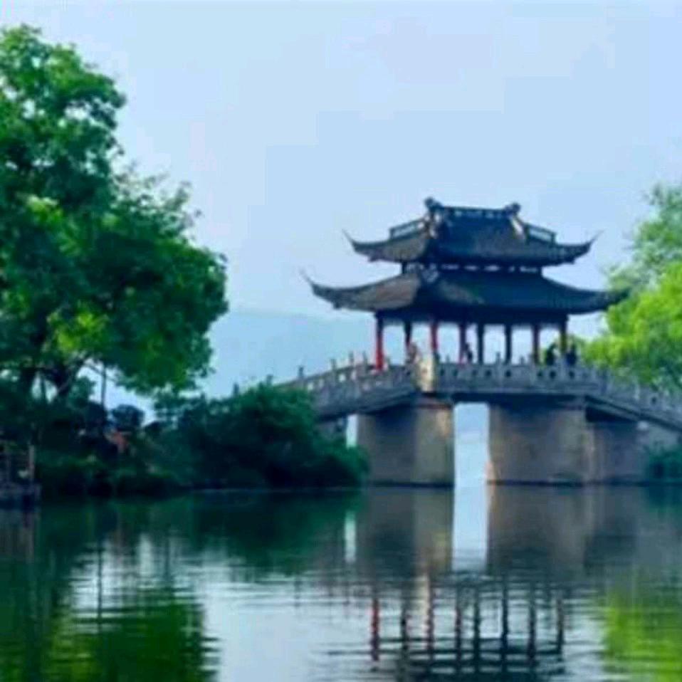 开心常乐。头像