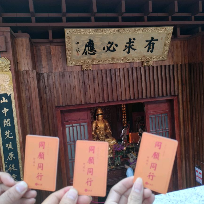 庆哥