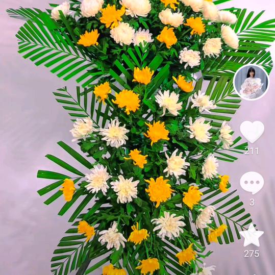 寿品梅花