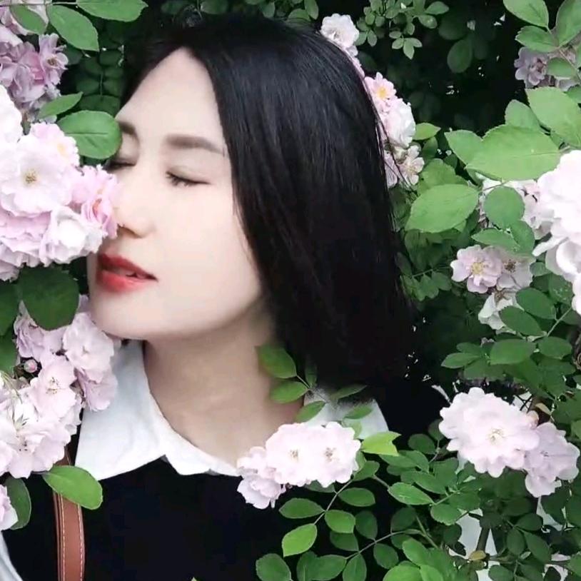 依然🍂