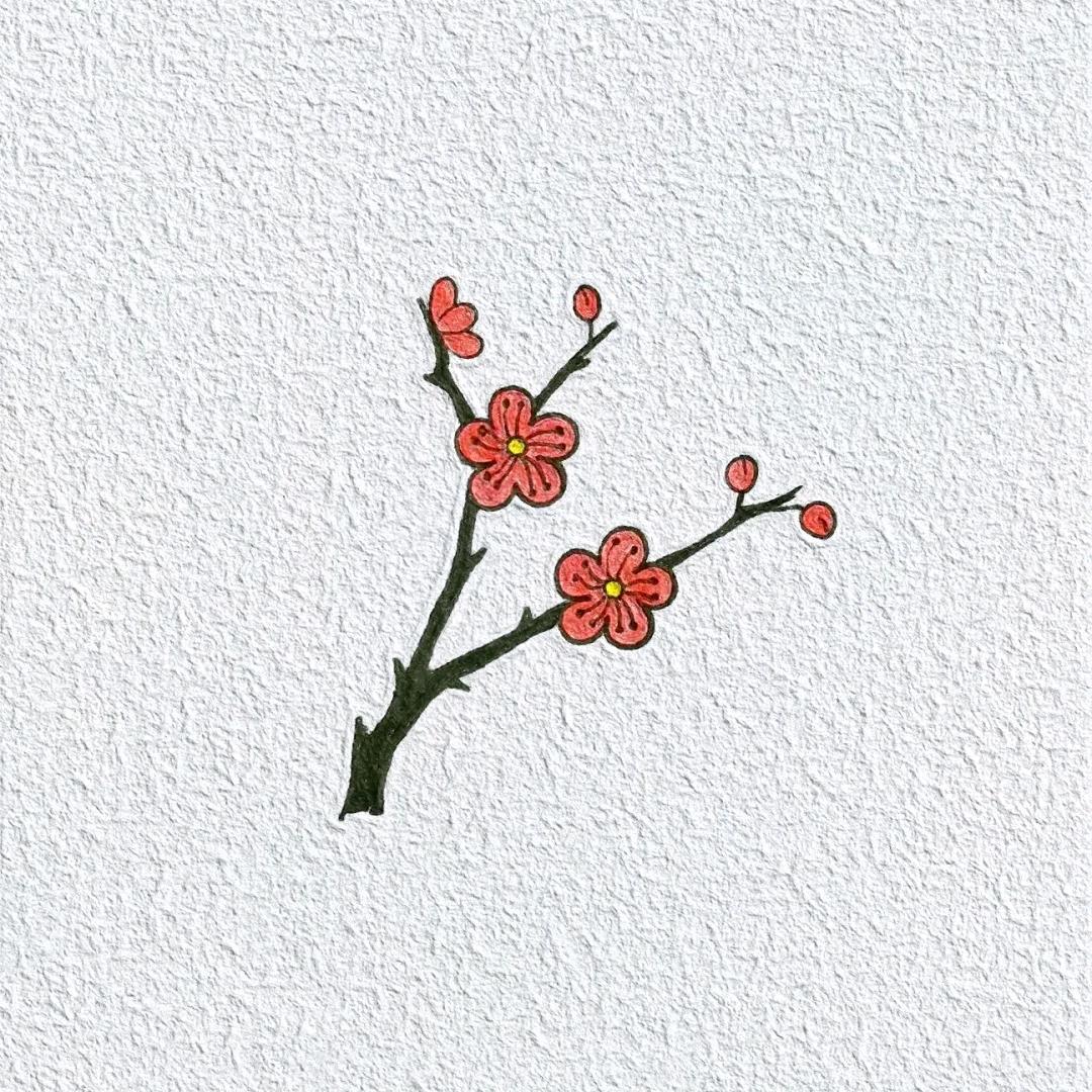 惜♥️→(余生只爱自己)
