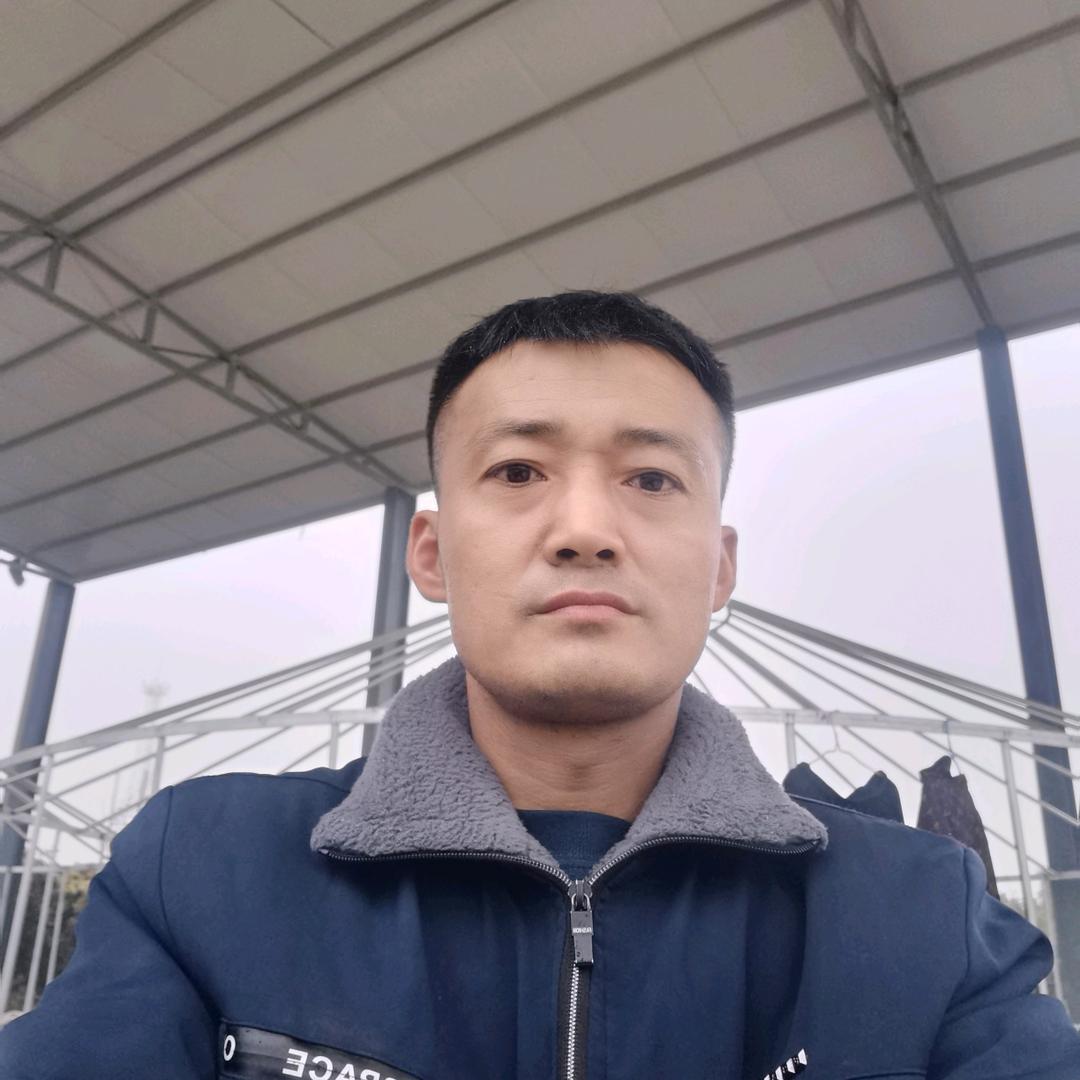 杨志青