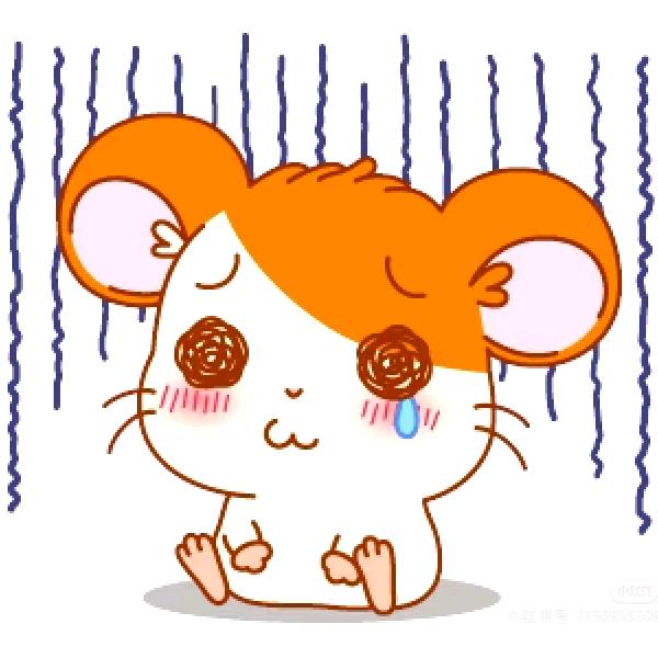 菠萝菠萝菠萝饭🍍