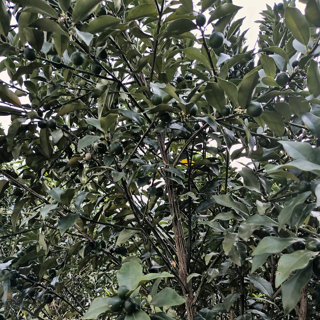 天天好物共享678/二号