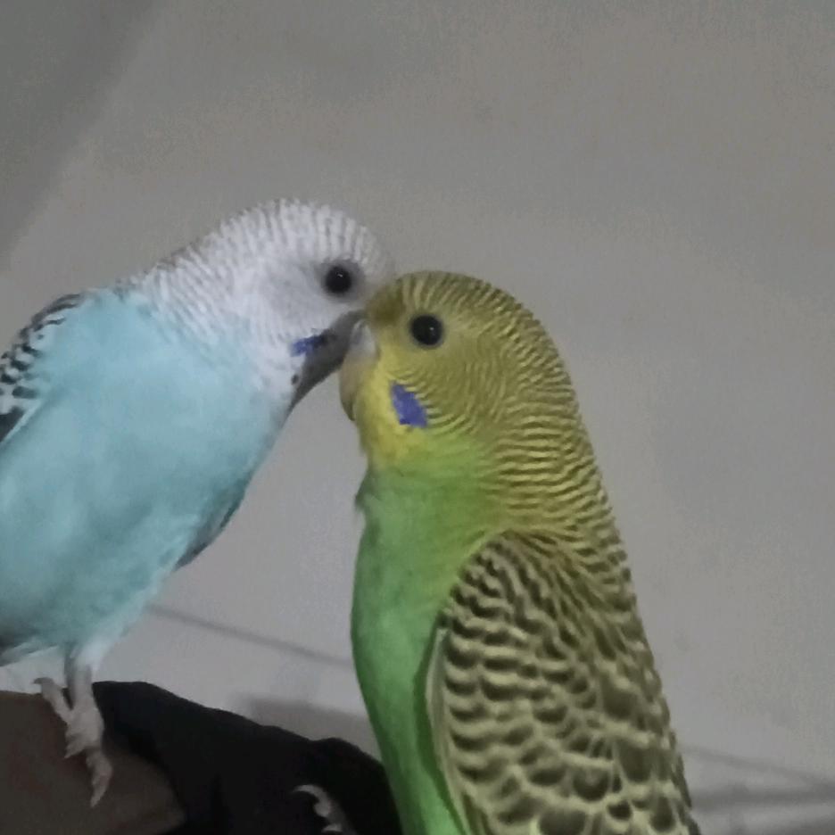 @💞এ᭄ꦿ我们好像在哪见过ృ༊: º᭄