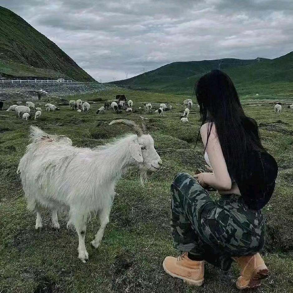 奇奇悦悦
