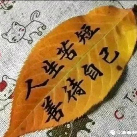 缘分