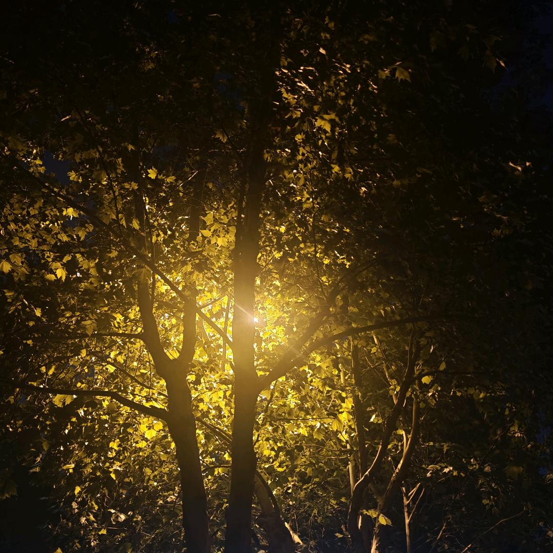 郑州莱松商行个人营业