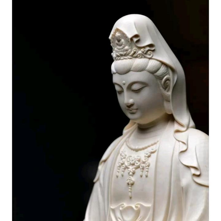 听禅乐