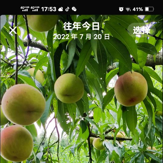 宽宽