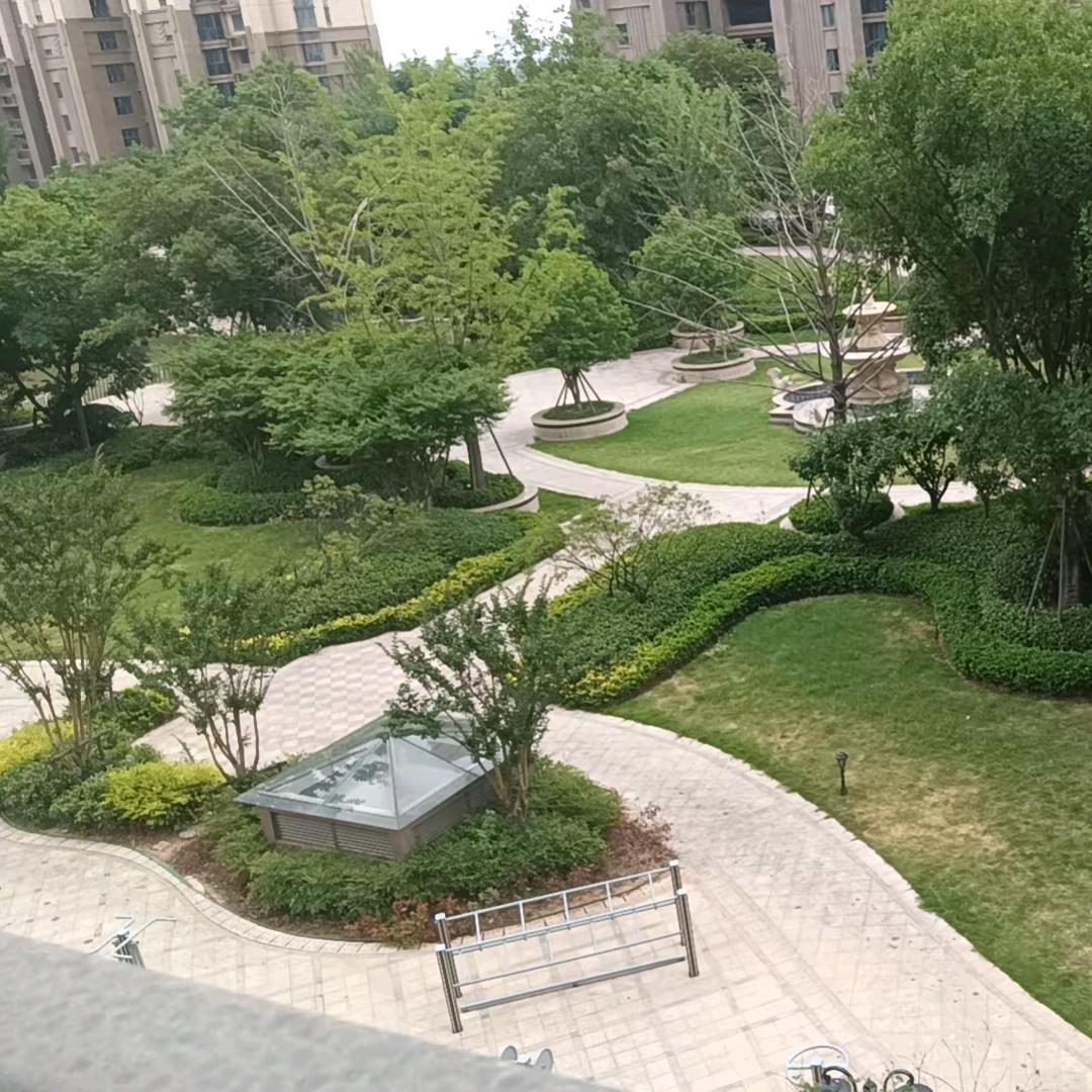 2026年一马平川。