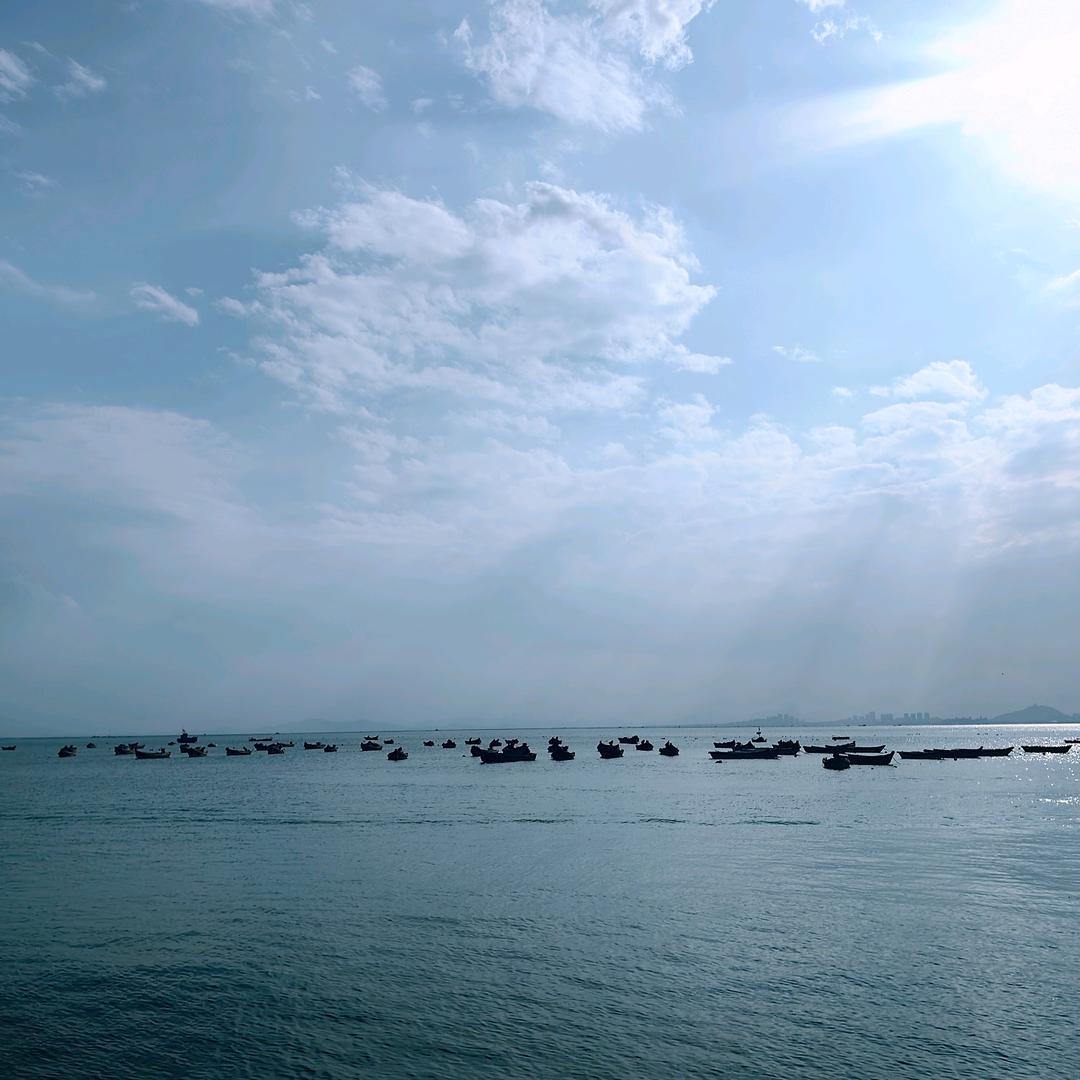 种草搭子（只要你敢关，我就永不取关）