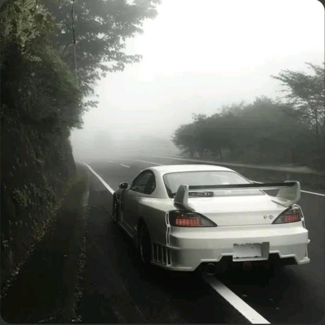 Professional racing