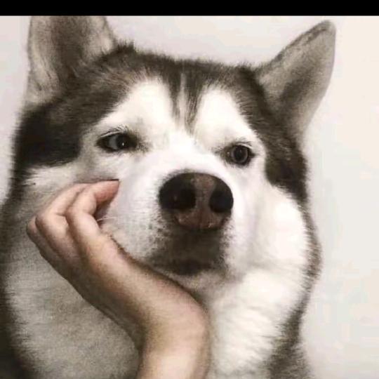 咦