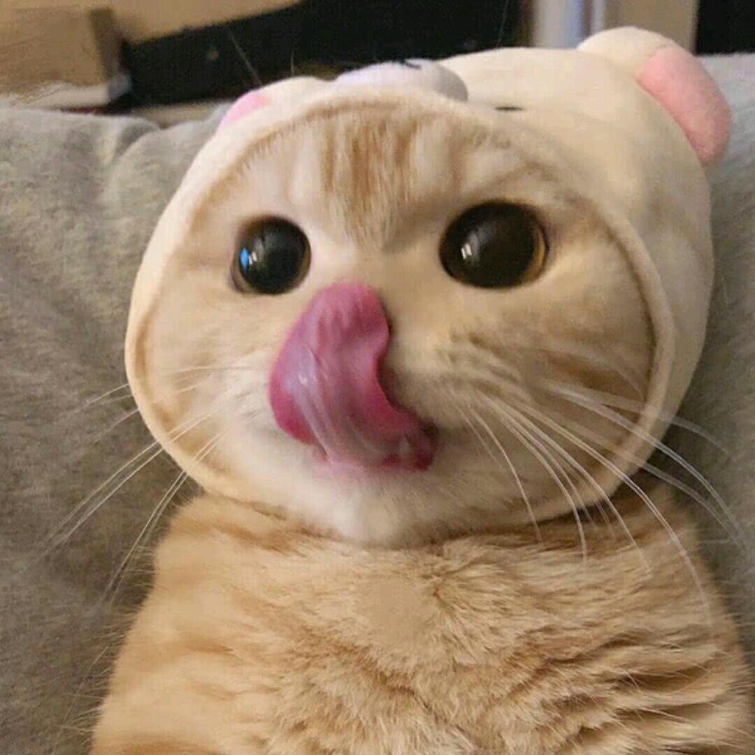 超级无敌暴龙战士