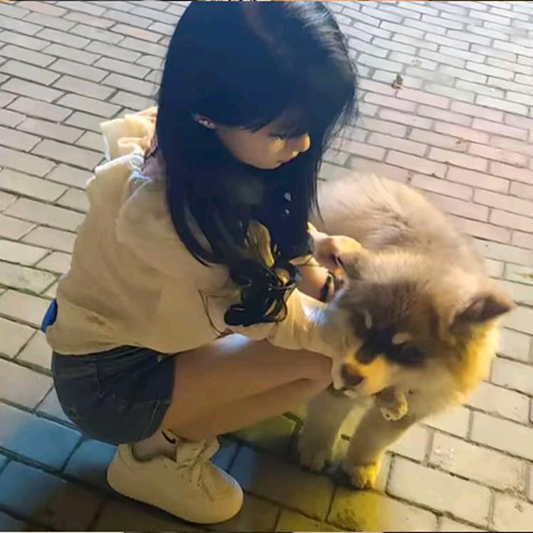 星辰（无畏契约）