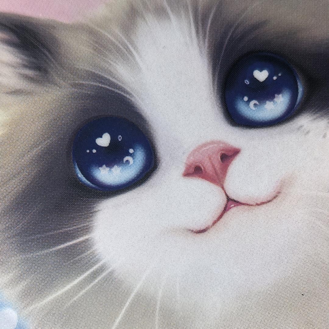 猫星人