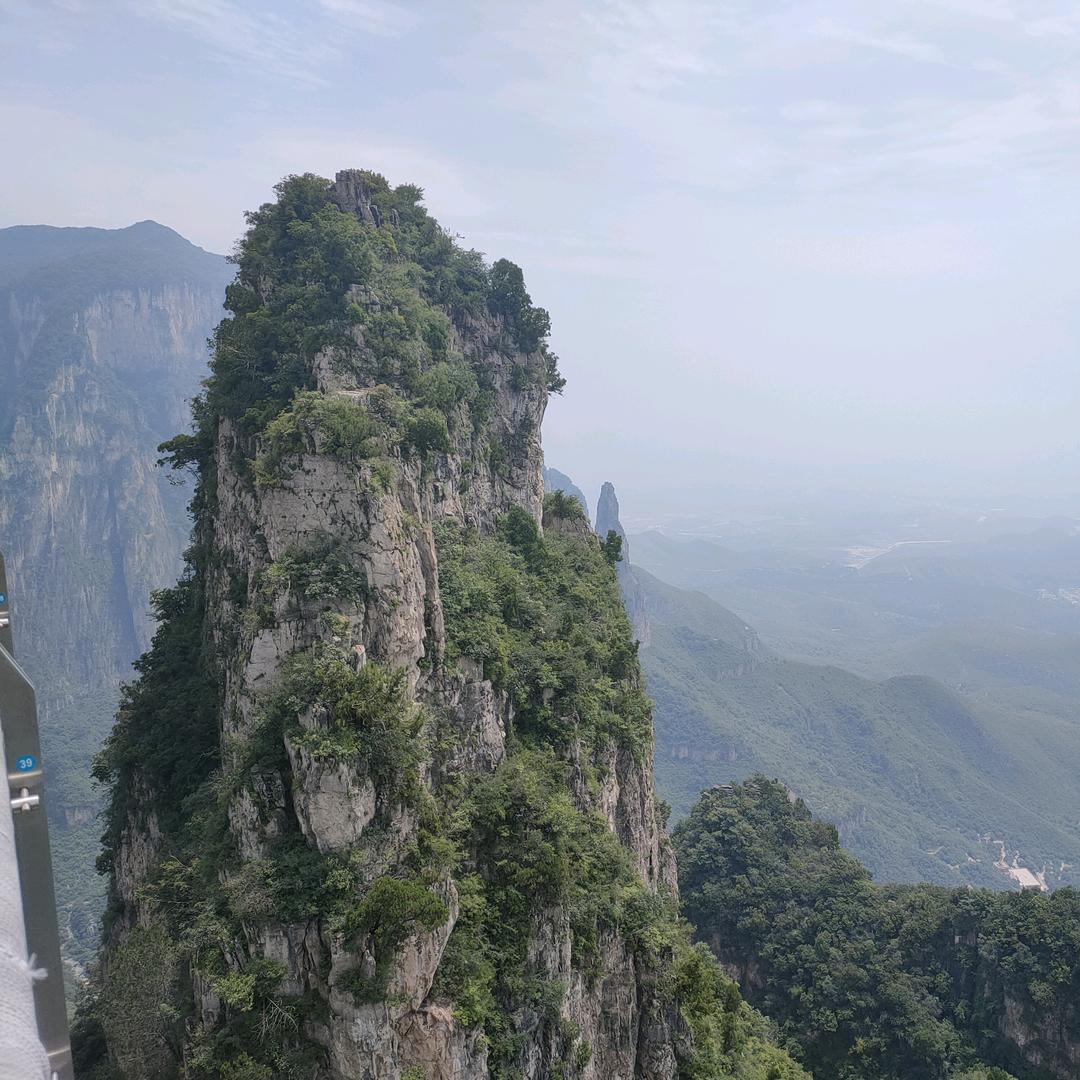 李洪光