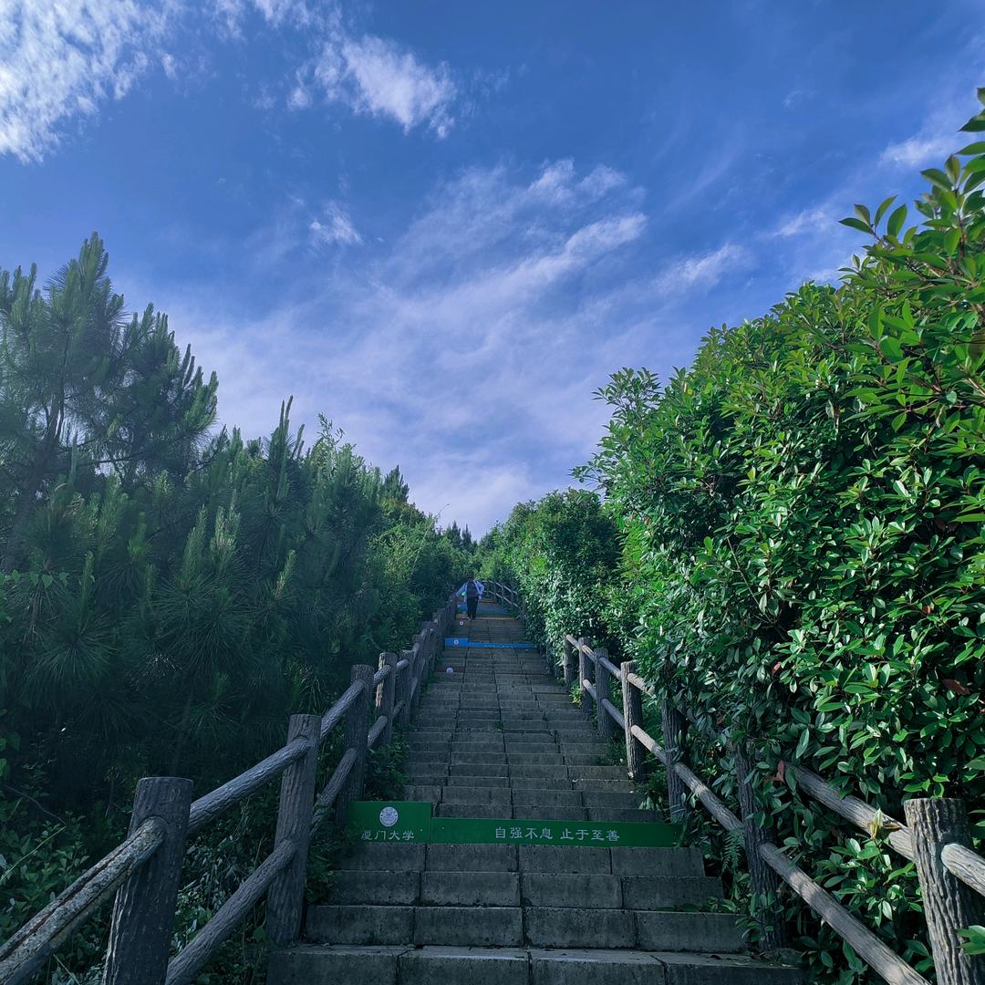 红杨文旅