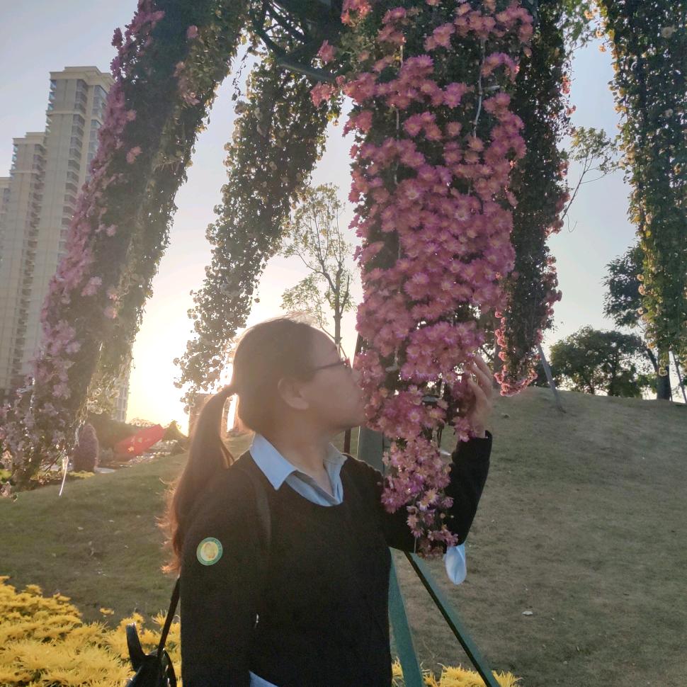 豆豆