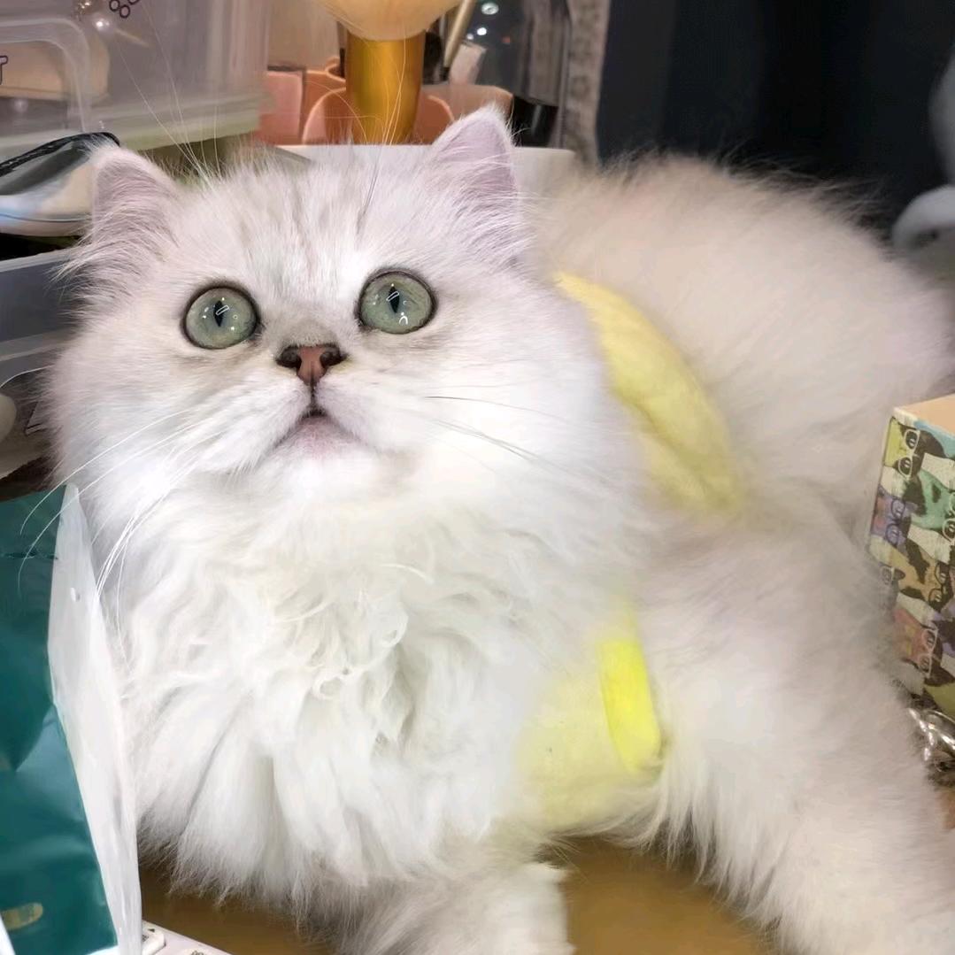 欲