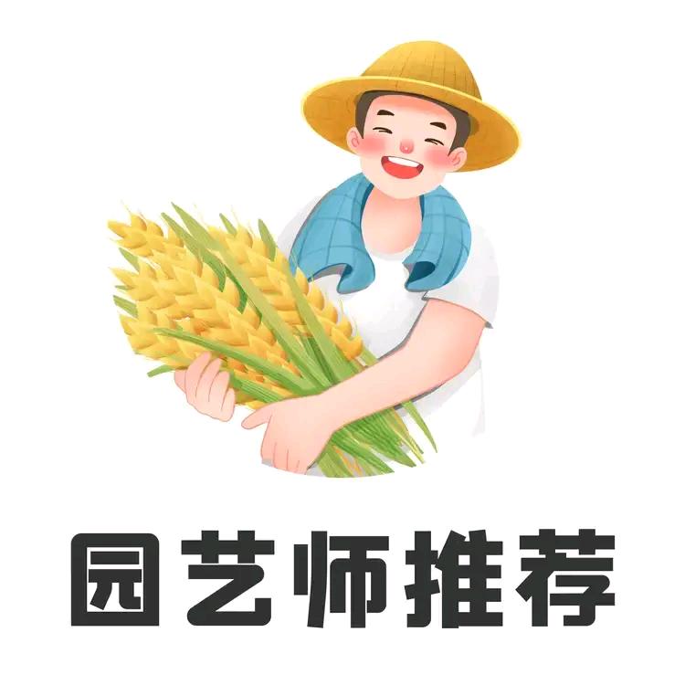 不吃胖不许减肥
