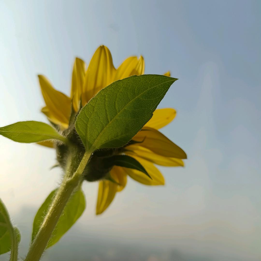 相顾*无言
