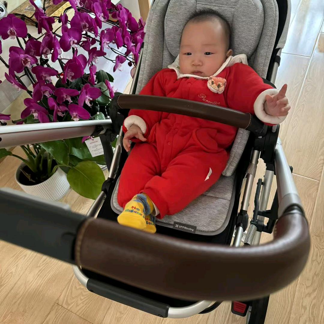 小路