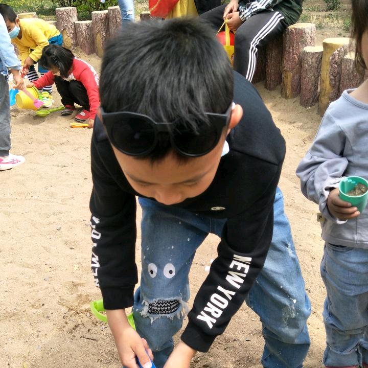 请叫我温小灰