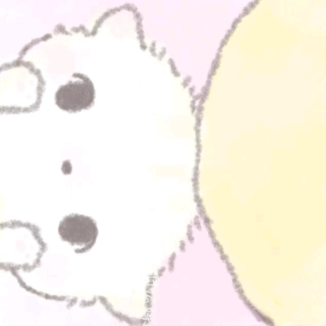相信小红帽