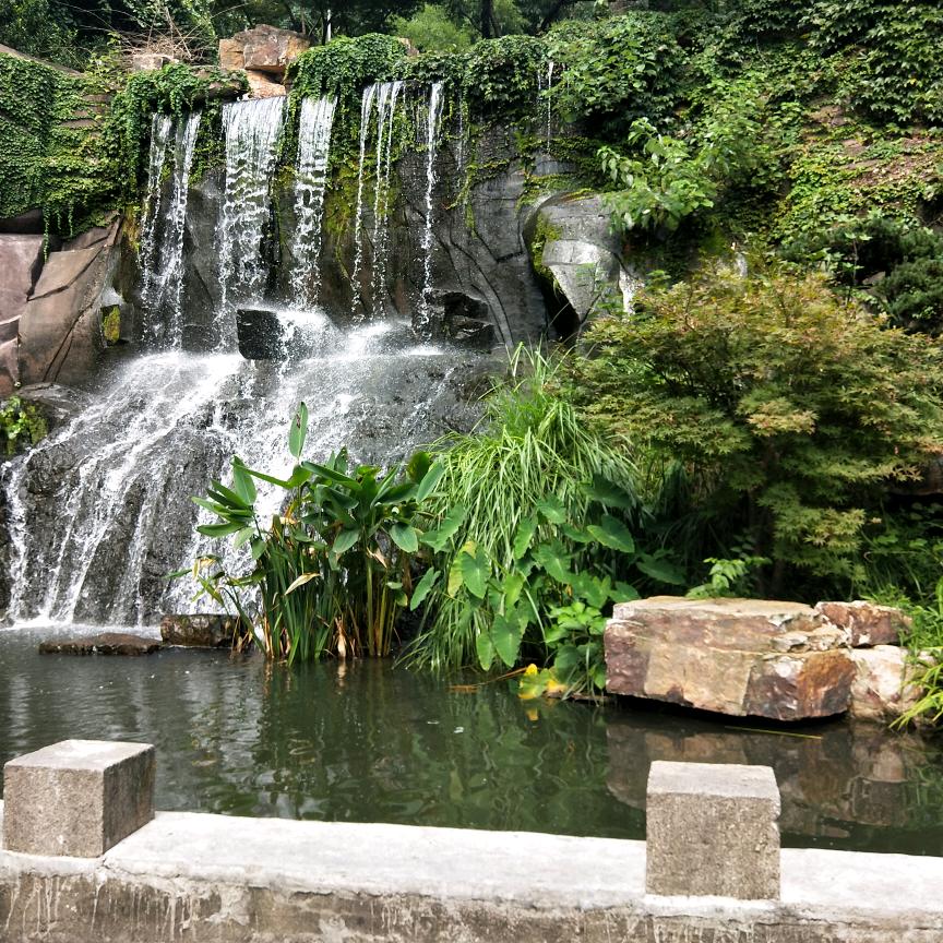 用户yujuan