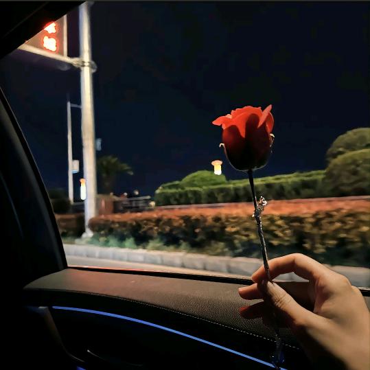 折耳根